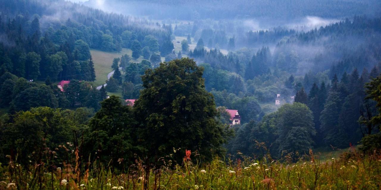 Hotel Gorski Czarna Gora Stronie Śląskie Dış mekan fotoğraf