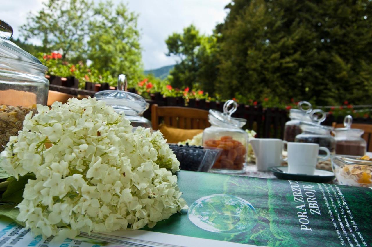 Hotel Gorski Czarna Gora Stronie Śląskie Dış mekan fotoğraf