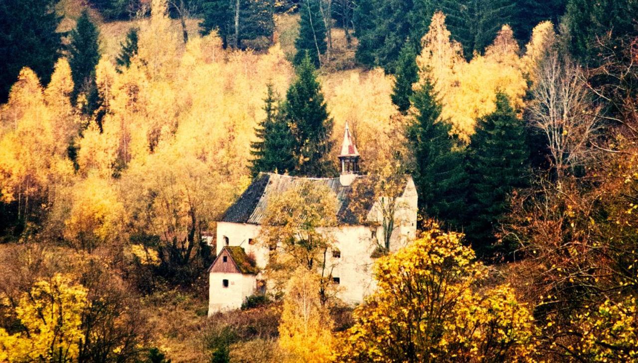 Hotel Gorski Czarna Gora Stronie Śląskie Dış mekan fotoğraf